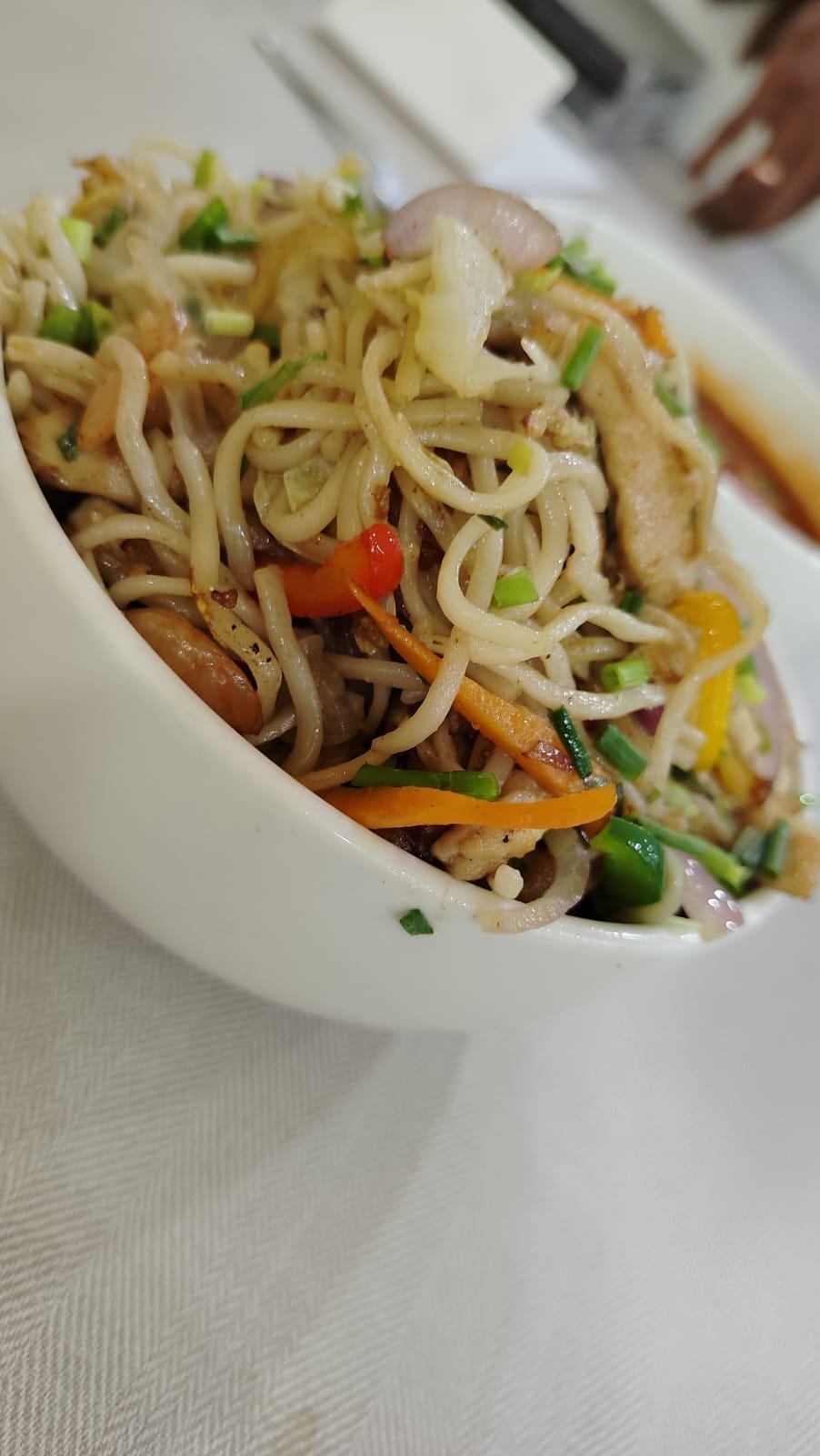 Zesty Mixed Hakka Noodles